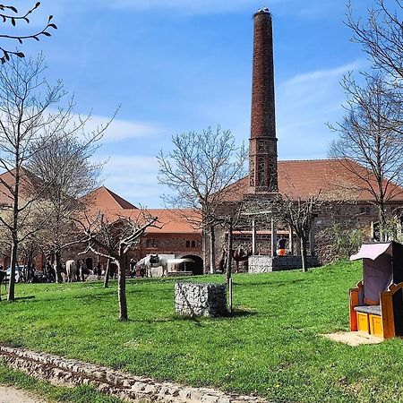 Tinyhousebeidresden 1 - Direkt Am Naturteich - Naehe Saechsische Schweiz, Dresden Großharthau Dış mekan fotoğraf